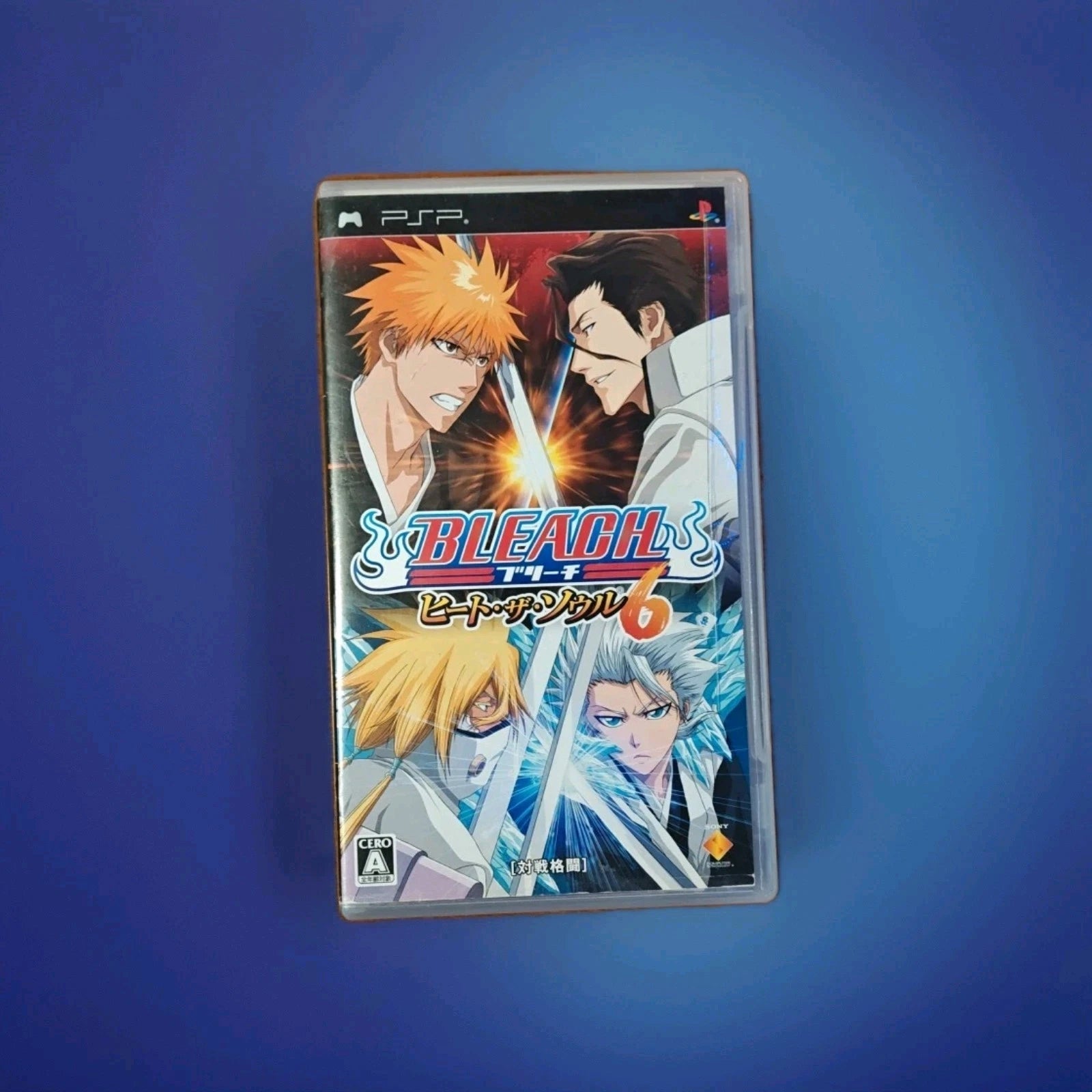 Bleach: Heat the Soul 6