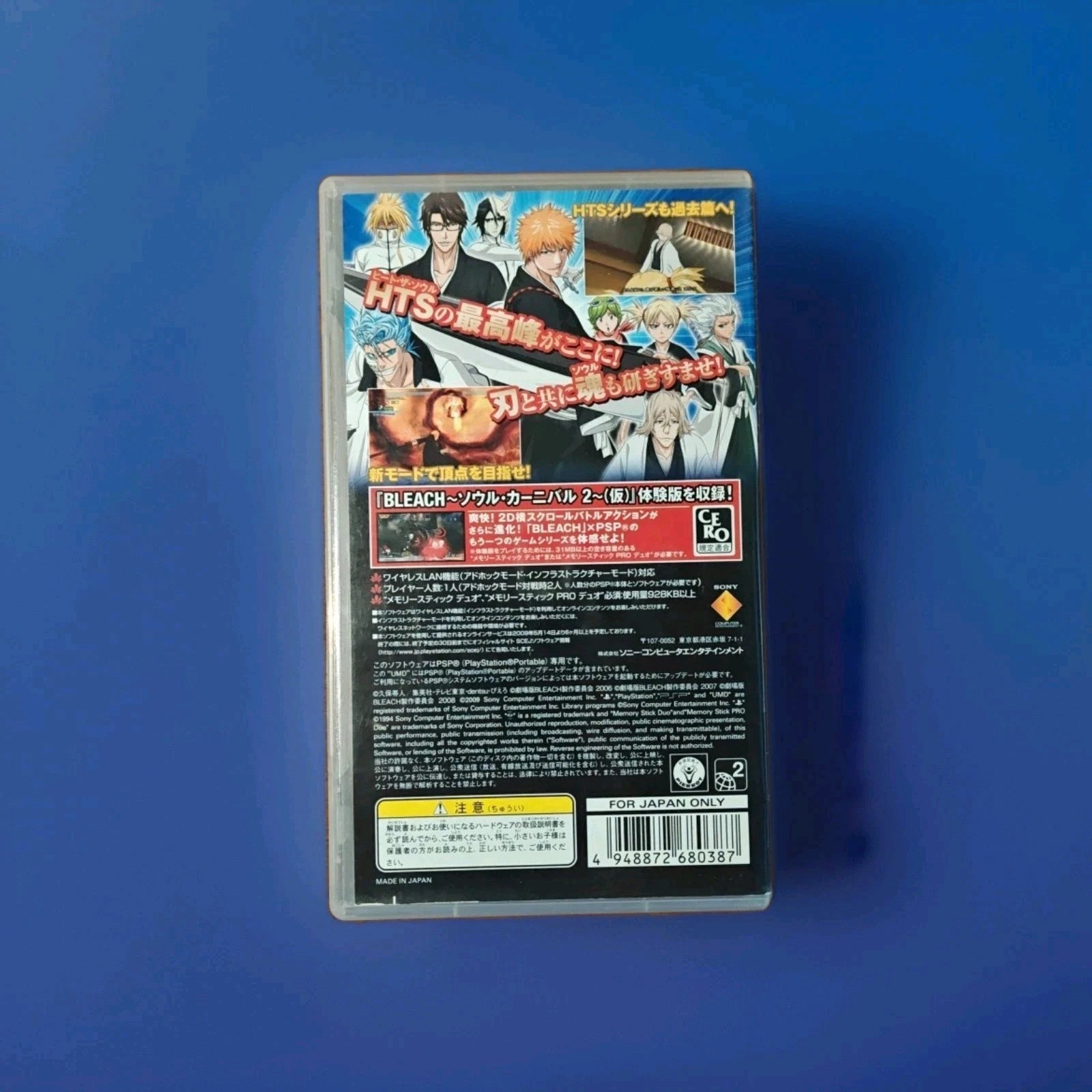 Bleach: Heat the Soul 6