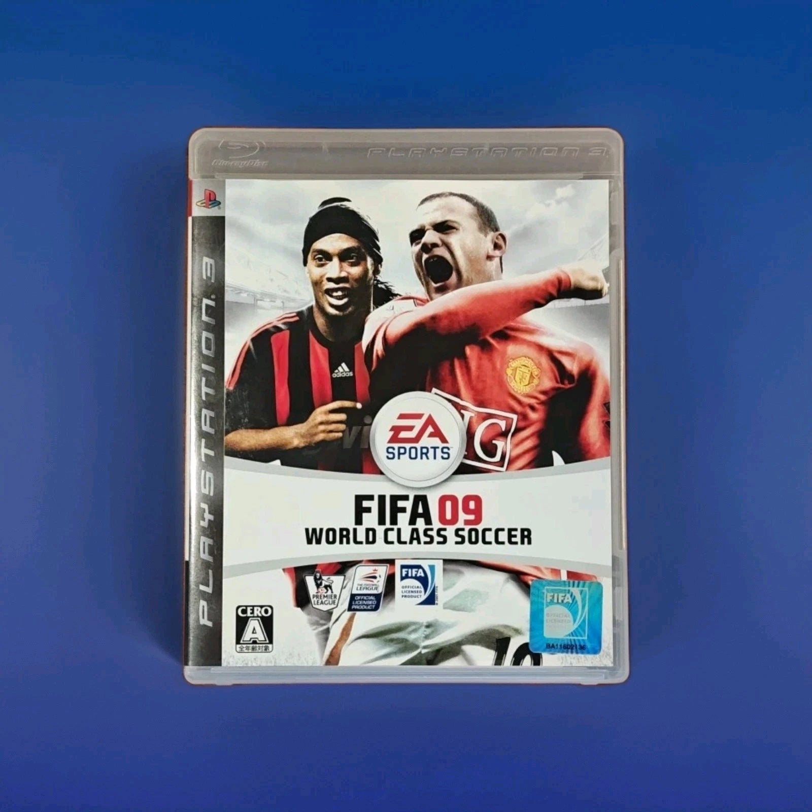 FIFA 09 World Class Soccer