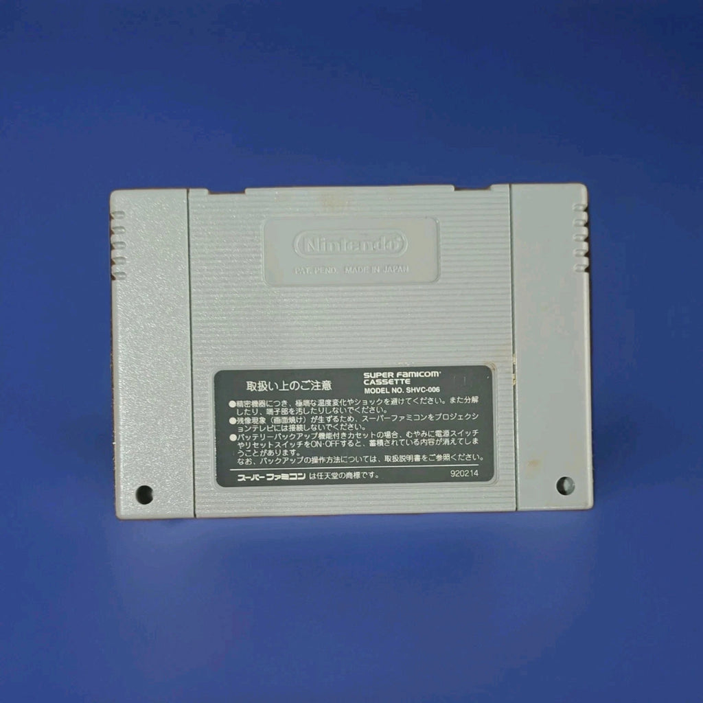 Dragon Ball Z: Super Butouden 3