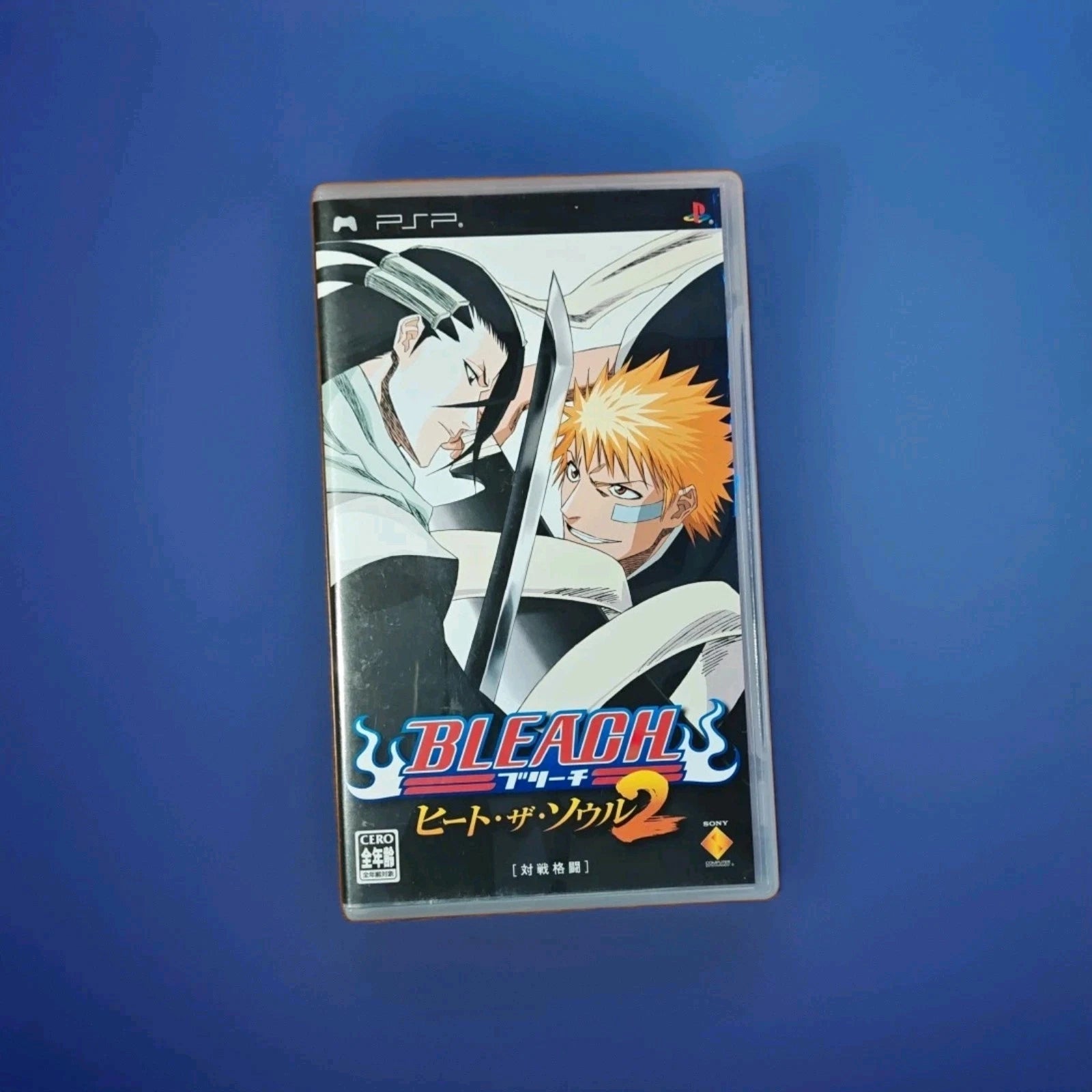 Bleach: Heat The Soul 2