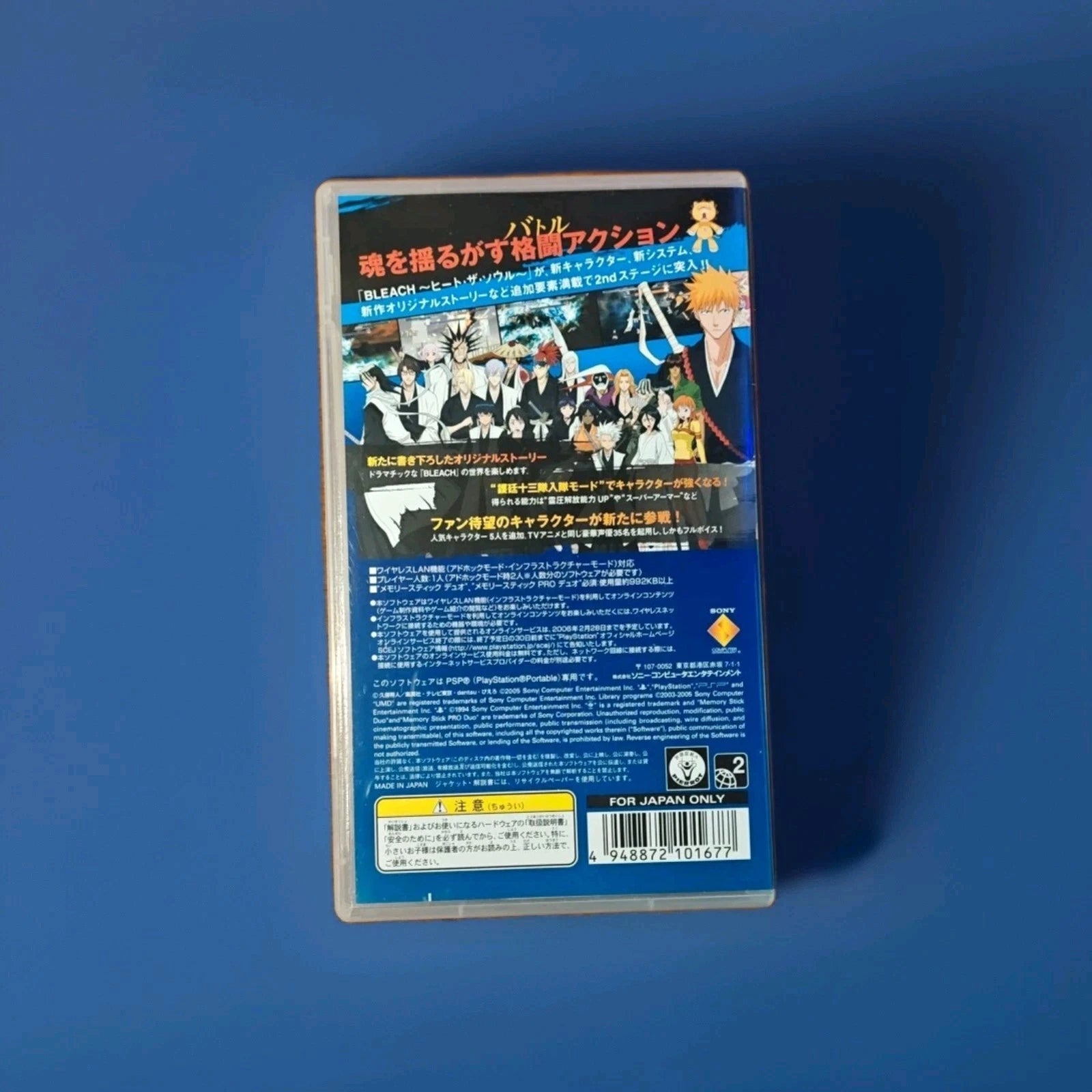 Bleach: Heat The Soul 2
