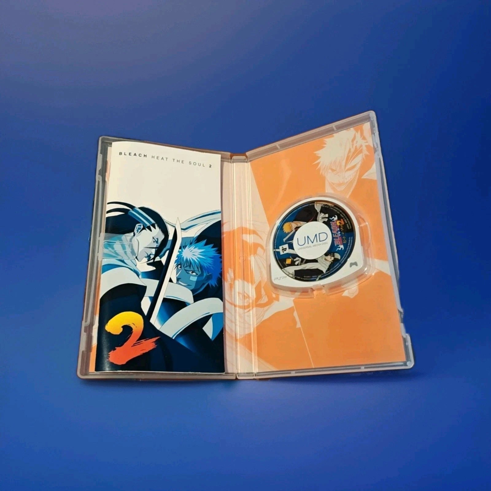 Bleach: Heat The Soul 2