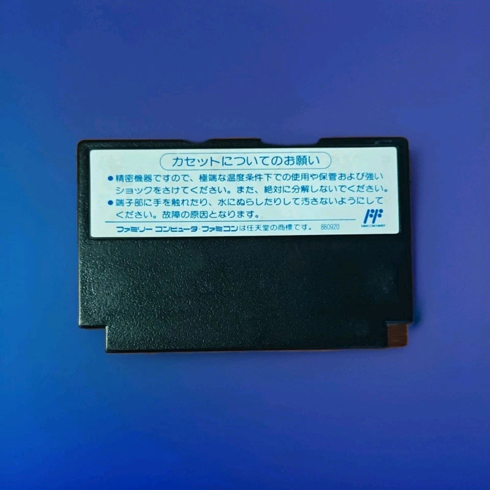 Hiryuu No Ken Special: Fighting Wars